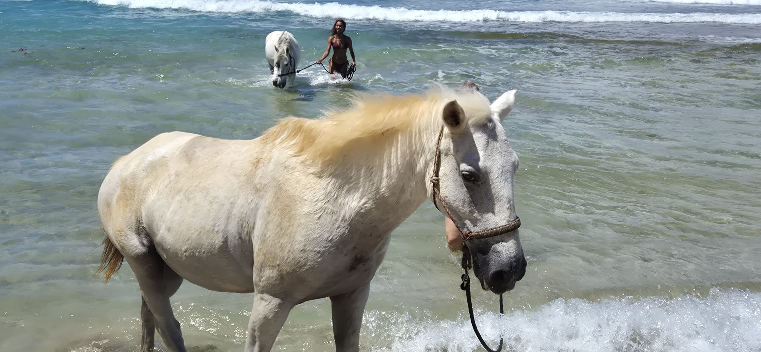Bob happy at the beach