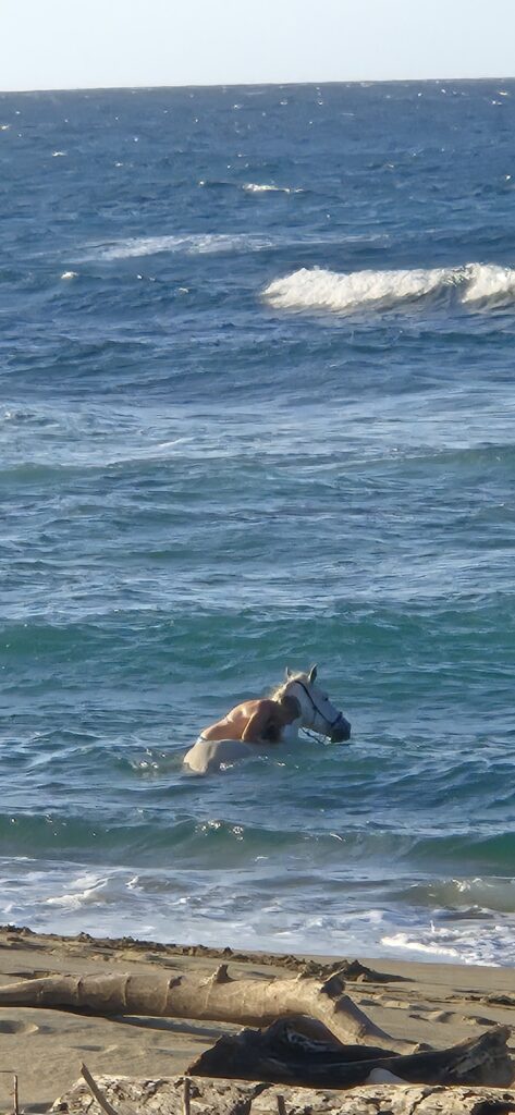 Time in nature with the horses