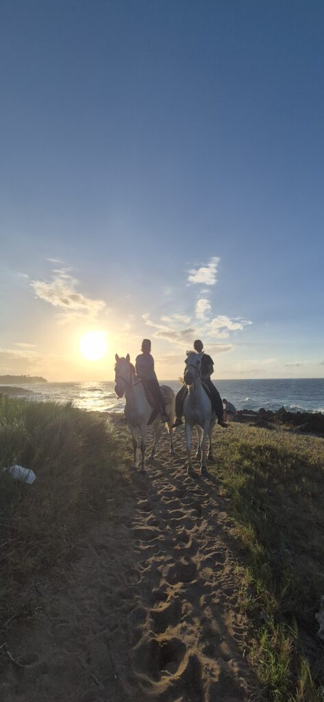 Tropical Beach Horse Ride