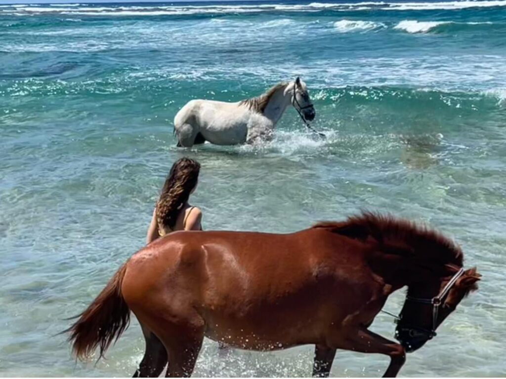 Mindful Horse Riding