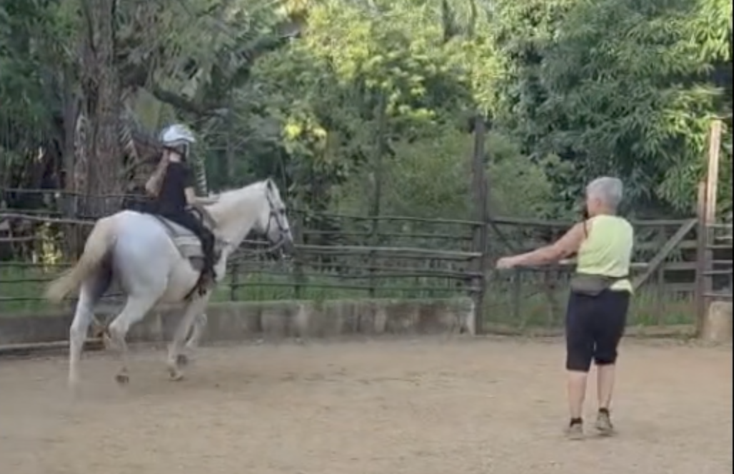Mindful Horse Sessions for Kids