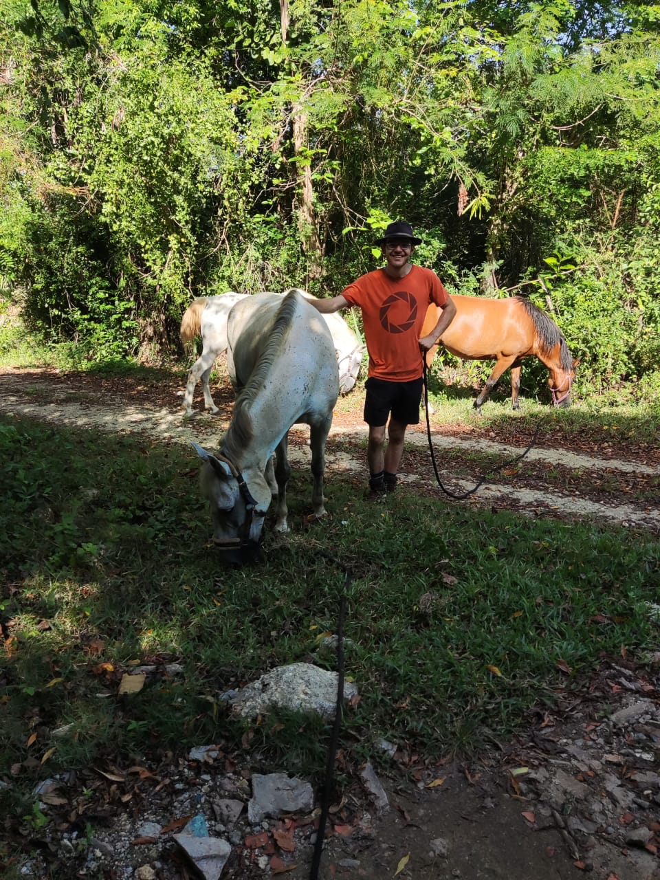 Mindful Horse Walk - Intuitive Listening Horse Center