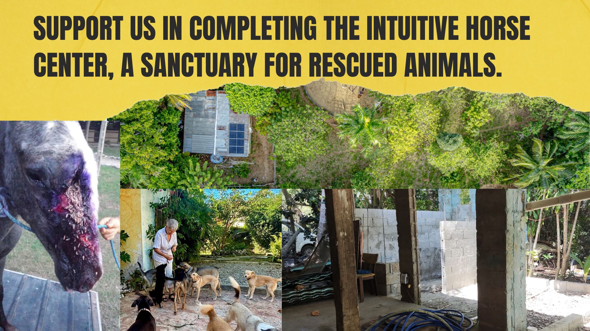 Fundraiser collage showing the sanctuary, rescued animals, and unfinished building work