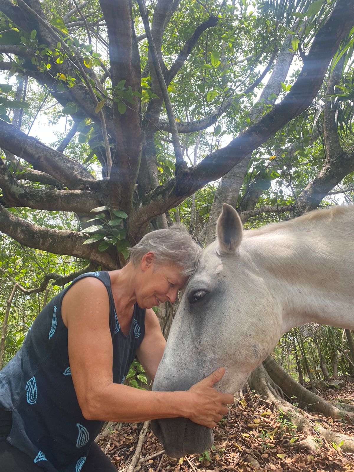 Sabine resting her forehead against a white horse under the trees at Intuitive Listening