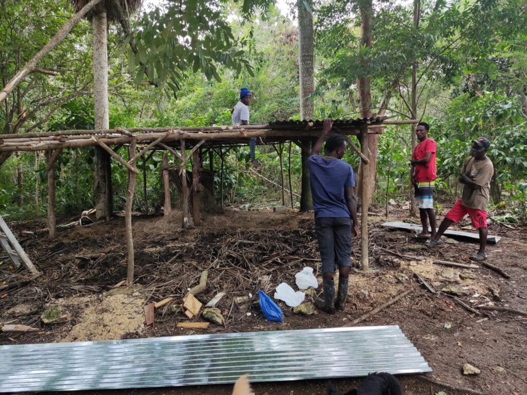 workers-building-wooden-stable